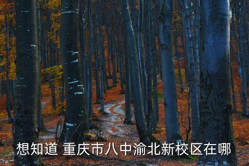 想知道 重慶市八中渝北新校區在哪