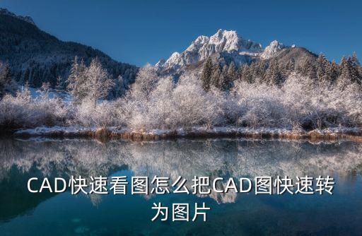 快速看圖,怎么用快速看圖軟件快速轉為圖片?