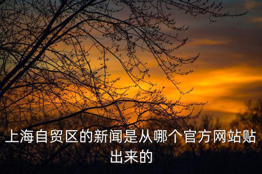 上海自貿區的新聞是從哪個官方網站貼出來的