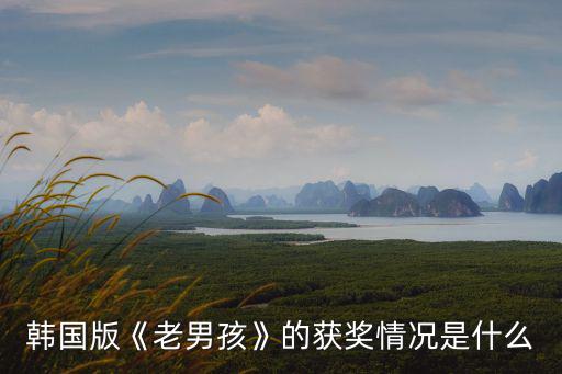 老男孩影評,《老男孩》獲頒戛納電影節(jié)最佳導(dǎo)演和最佳男主角