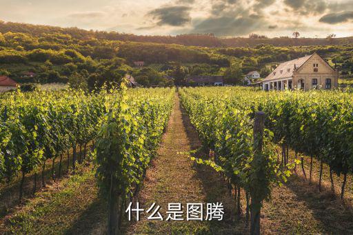 什么是圖騰
