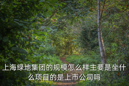 上海市實驗商會，上海綠地集團的規模怎么樣主要是坐什么項目的是上市公司嗎
