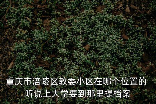 重慶市涪陵區教委小區在哪個位置的 聽說上大學要到那里提檔案