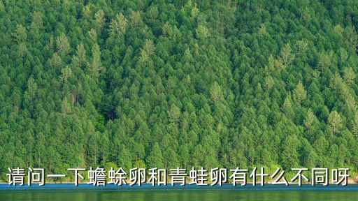 請問一下蟾蜍卵和青蛙卵有什么不同呀