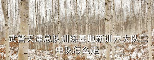  武警天津總隊(duì)訓(xùn)練基地新訓(xùn)六大隊(duì)二中隊(duì)怎么走
