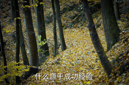 什么源于成功經驗