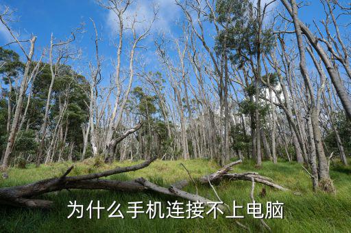 為什么手機連接不上電腦