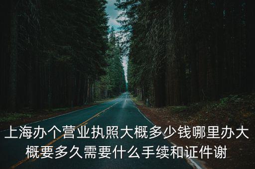 上海辦個營業(yè)執(zhí)照大概多少錢哪里辦大概要多久需要什么手續(xù)和證件謝