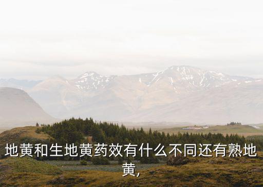 地黃和生地黃藥效有什么不同還有熟地黃,