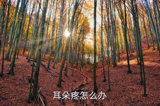 耳朵疼怎么辦
