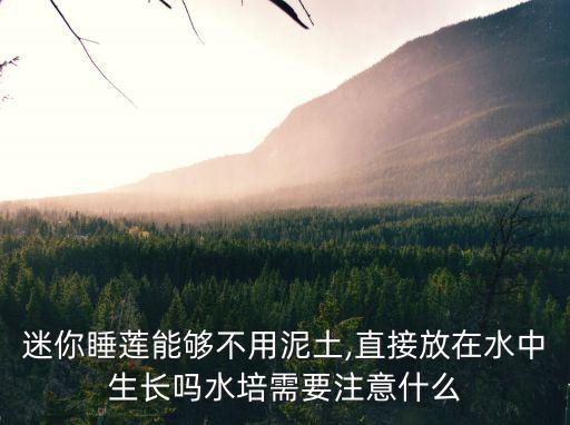 迷你睡蓮能夠不用泥土,直接放在水中生長嗎水培需要注意什么