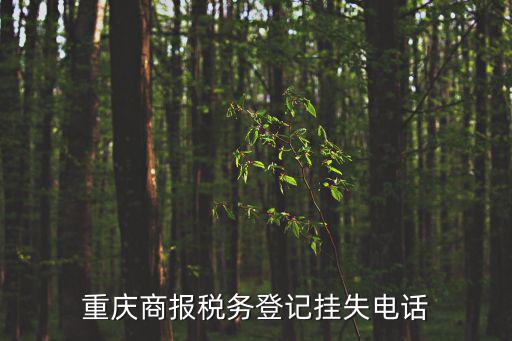 重慶商報稅務登記掛失電話