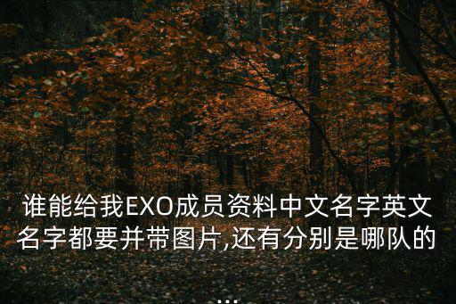 誰能給我EXO成員資料中文名字英文名字都要并帶圖片,還有分別是哪隊的...