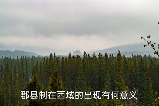 郡縣制的意義,由新疆建省密切了新疆政治經(jīng)濟(jì)與經(jīng)濟(jì)聯(lián)系