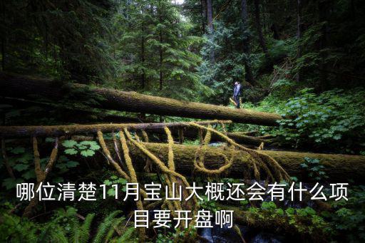 哪位清楚11月寶山大概還會有什么項目要開盤啊