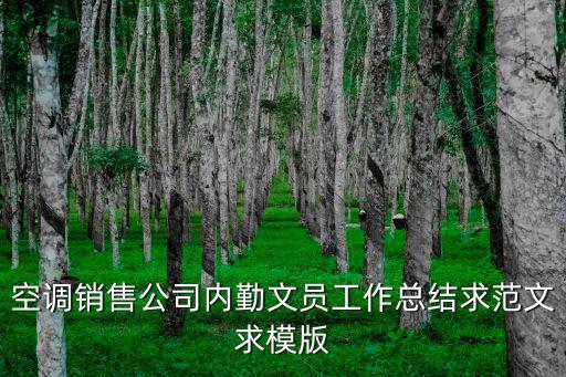 空調(diào)銷售公司內(nèi)勤文員工作總結(jié)求范文求模版
