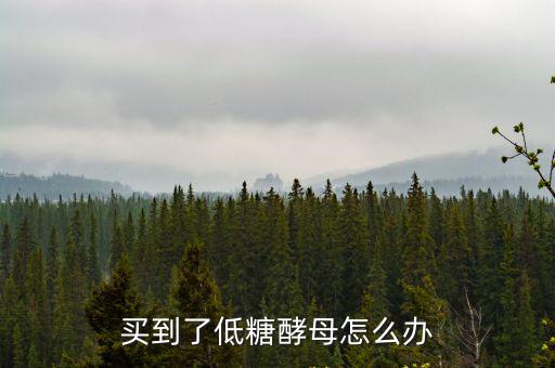 買到了低糖酵母怎么辦