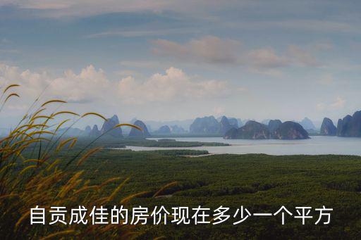 自貢成佳的房價現在多少一個平方