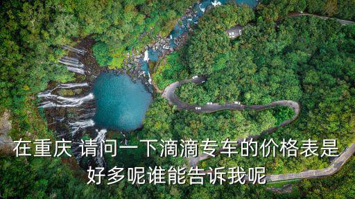 在重慶 請問一下滴滴專車的價格表是好多呢誰能告訴我呢