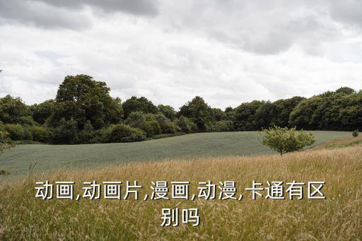 卡通動漫成人,動畫片和漫畫有區別嗎?,誰說沒區別