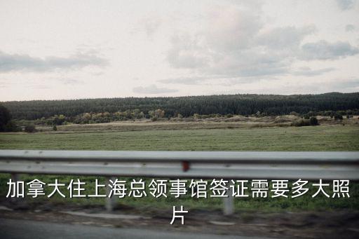 加拿大住上海總領事館簽證需要多大照片