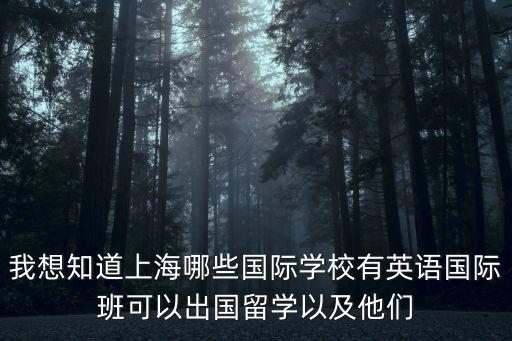 我想知道上海哪些國際學校有英語國際班可以出國留學以及他們