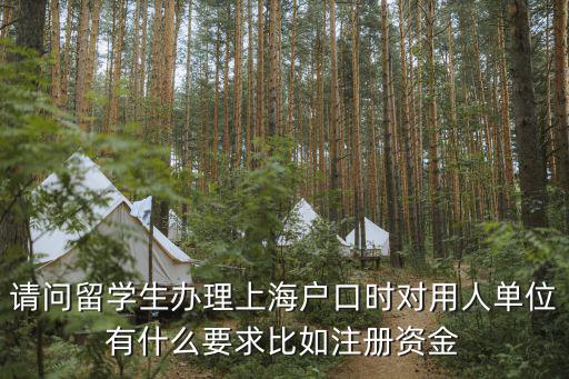 請問留學生辦理上海戶口時對用人單位有什么要求比如注冊資金
