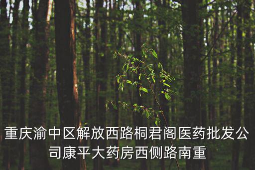 重慶市渝中區(qū)丁香路天宮小區(qū)，重慶渝中區(qū)有哪些高檔小區(qū)