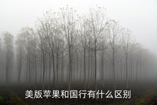 蘋果美版和國行的區別,蘋果手機美版和國行之別