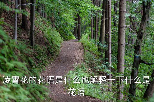 凌霄花花語(yǔ),凌霄花的花語(yǔ):敬佩和聲譽(yù)，慈母之愛(ài)