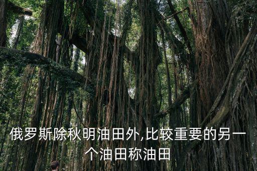 秋明油田,俄羅斯除了秋明油田還有哪些油田值得你去填空?