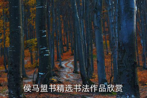 盟書,晉侯馬盟書精選書法作品欣賞