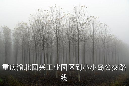 重慶渝北回興工業園區到小小島公交路線