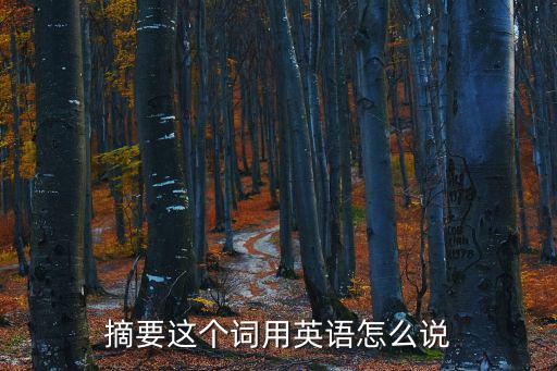摘要這個詞用英語怎么說