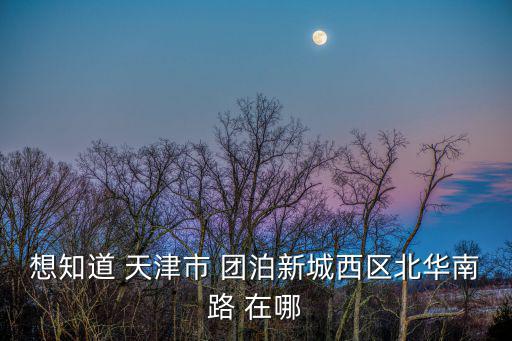 想知道 天津市 團泊新城西區北華南路 在哪