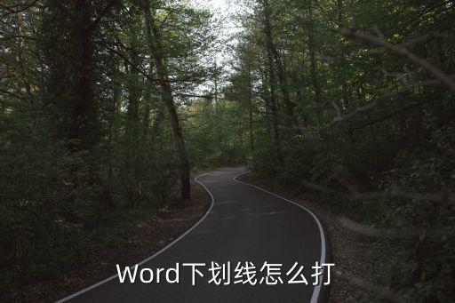 word下劃線怎么打出來,word中下劃線怎么打?