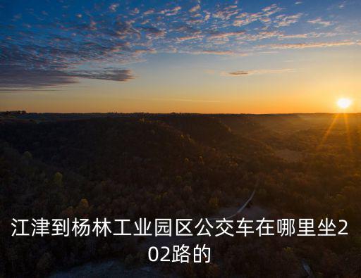江津到楊林工業園區公交車在哪里坐202路的