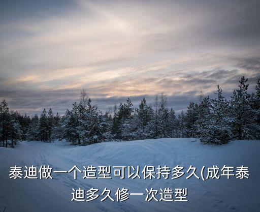 泰迪做一個造型可以保持多久(成年泰迪多久修一次造型