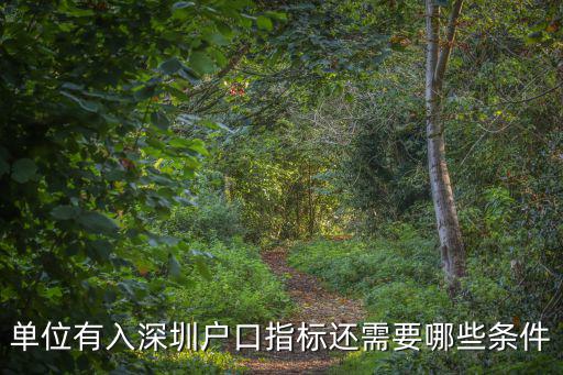 單位有入深圳戶口指標(biāo)還需要哪些條件