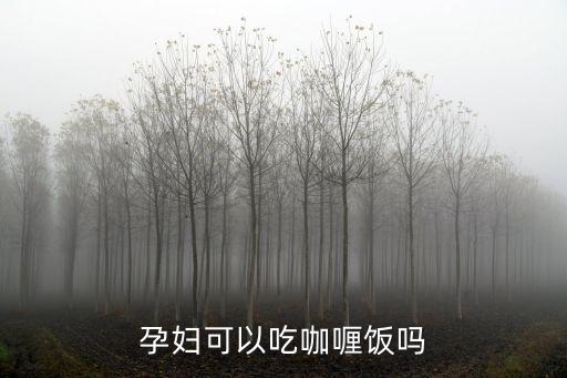 孕婦可以吃咖喱飯嗎