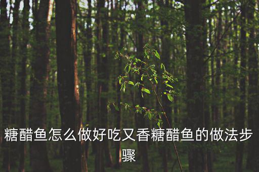 糖醋魚(yú)怎么做好吃又香糖醋魚(yú)的做法步驟