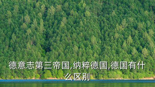 德意志第三帝國,納粹德國,德國有什么區別