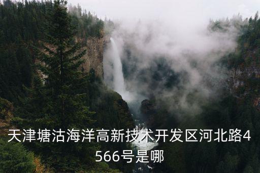 天津塘沽海洋高新技術開發區河北路4566號是哪