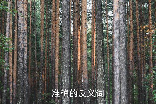 準確反義詞,回憶往事精確反義詞是什么