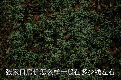 張家口房價怎么樣一般在多少錢左右