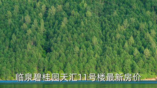 臨泉碧桂園天匯11號樓最新房價