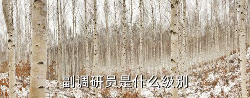 重慶市電力公司副局調研員，副調研員是什么級別