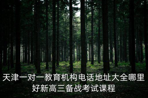 天津一對(duì)一教育機(jī)構(gòu)電話地址大全哪里好新高三備戰(zhàn)考試課程