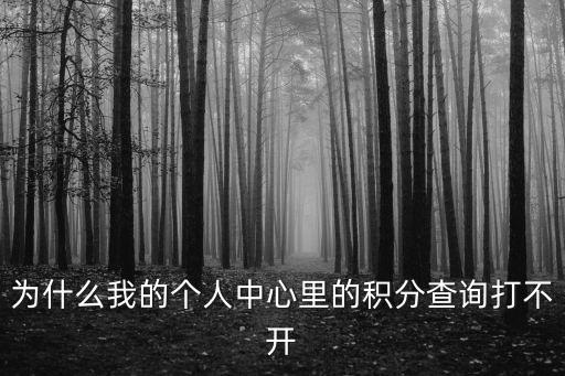 為什么我的個人中心里的積分查詢打不開