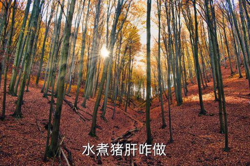 水煮豬肝的做法,醬油水煮豬肝怎么做好吃